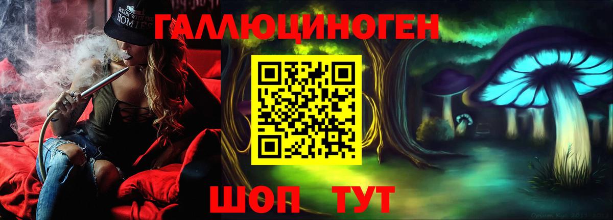 Волжский  Галлюциногенные грибы Psilocybe  Вход с VPN 